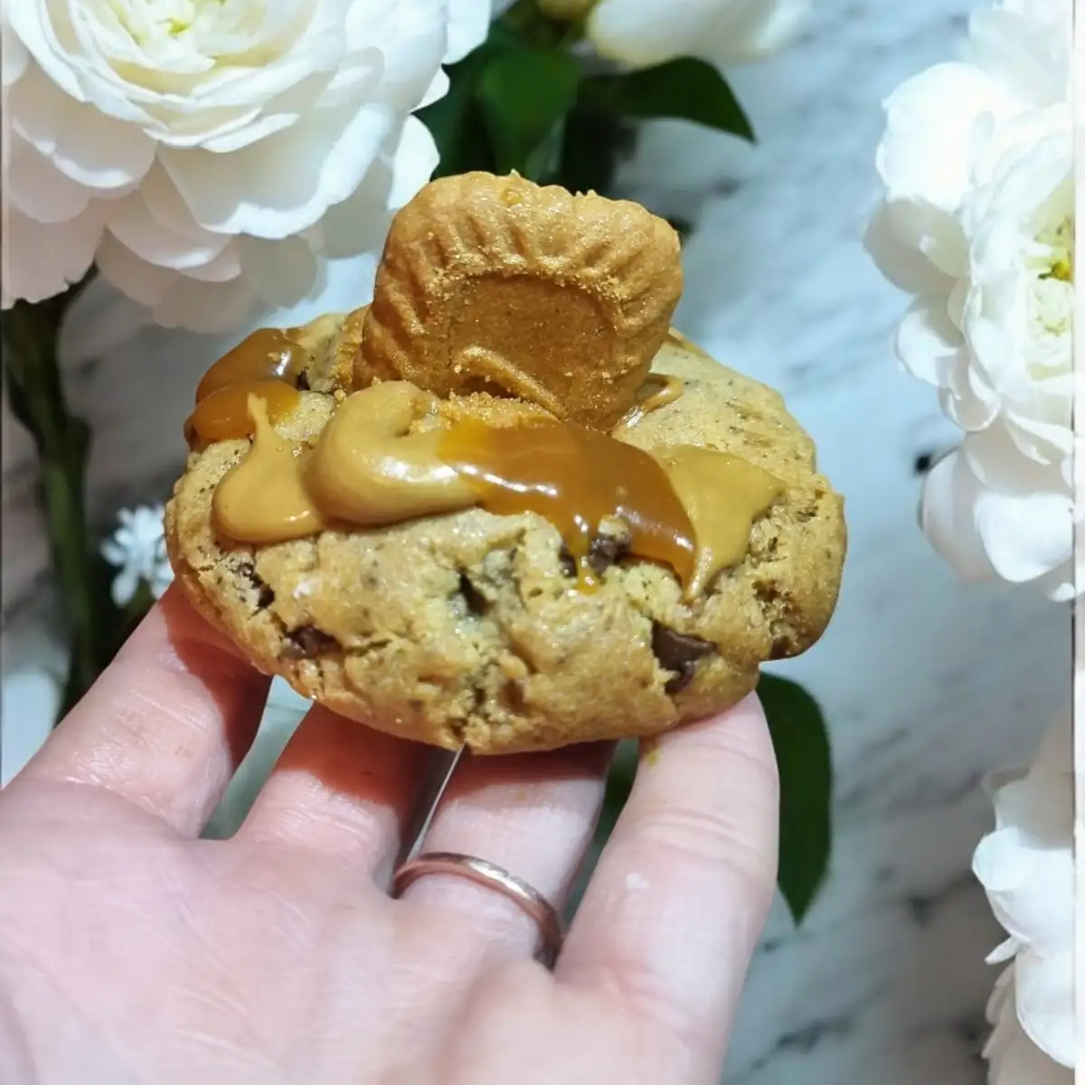 Miraculoos spéculoos